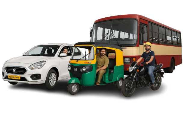 Transportation Options